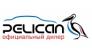 Pelican Motors
